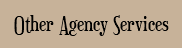  Other Agency Services