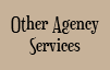  Other Agency Services